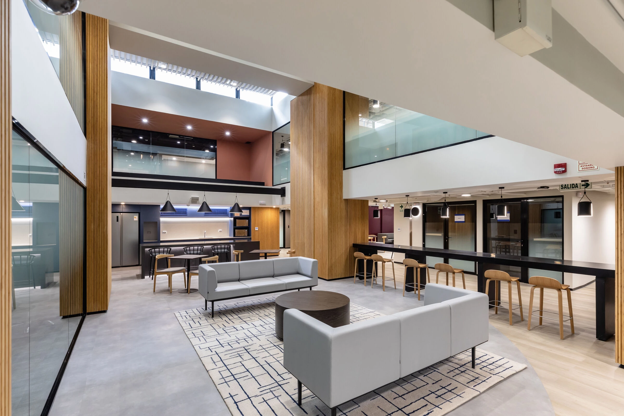 弗勒·比于尔巴诺娃丨秘鲁利马丨DRRP Spaces-7