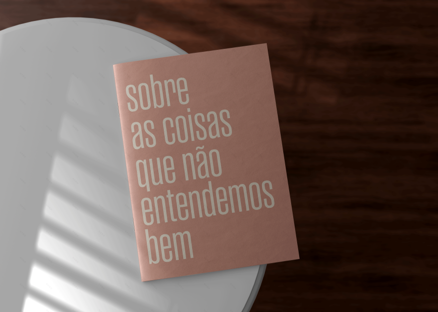 Sobre as coisas que não entendemos bem-0