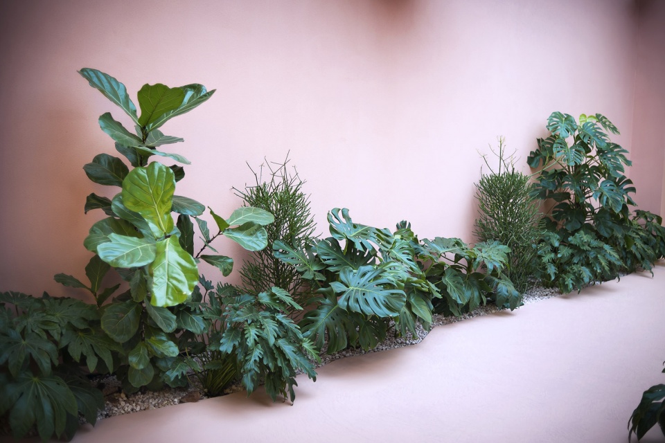 彩绘未知的女性思维 | ALYSI 展室设计解读-25