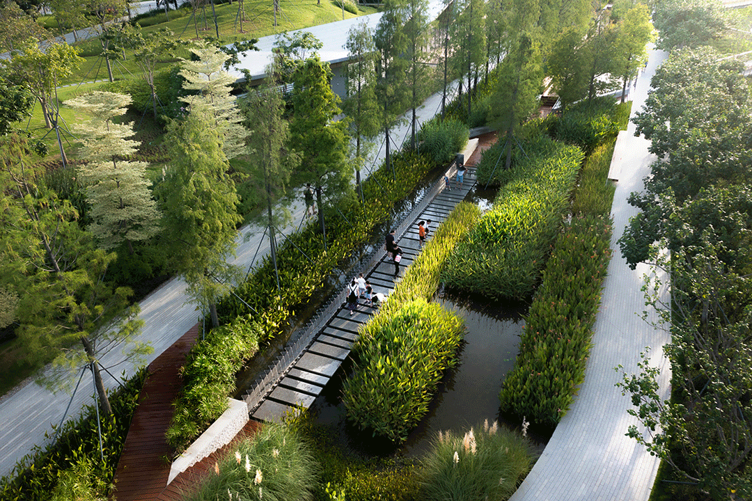 前海桂湾公园丨中国深圳丨FIELD OPERATIONS等多家单位及朱祥明团队-3