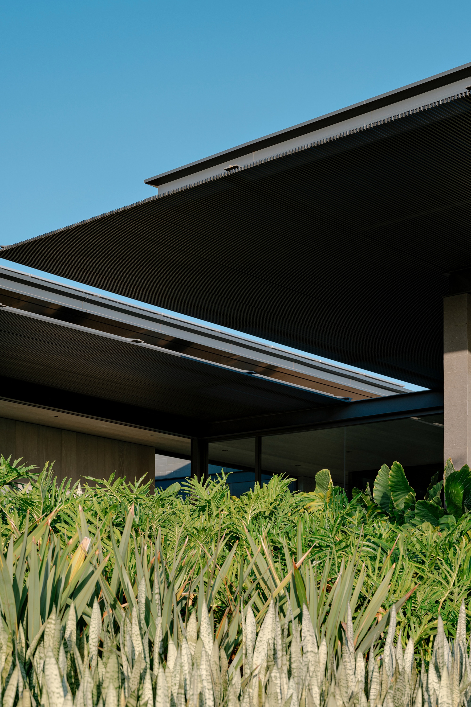 CL住宅:在地的营造丨巴西圣保罗-12