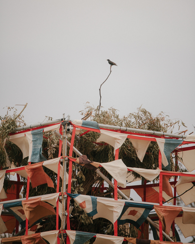 澳大利亚 Succah海边临时户外装置-23