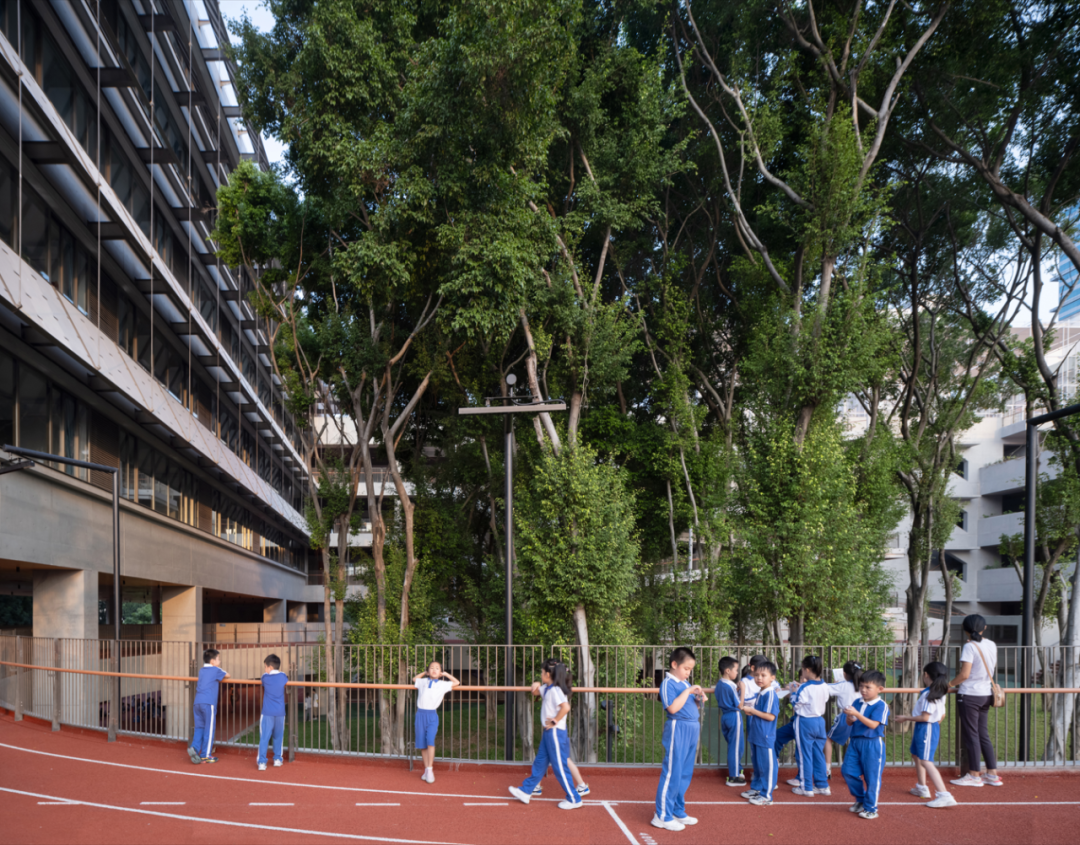 【AT建筑】榕树高台——荔园外国语小学（景田）设计札记（by直向建筑）-156