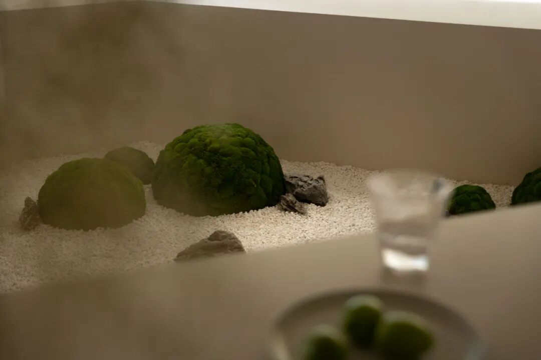 尔上设计|自然系生活方式每一帧都是杂志大片-19