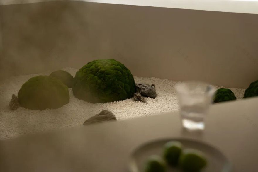 尔上设计|自然系生活方式每一帧都是杂志大片-19