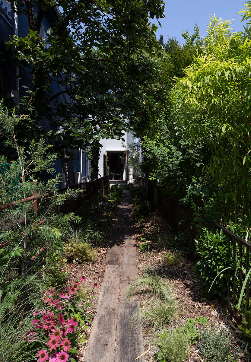 本鹄沼の家丨日本神奈川丨建筑家・手嶋保-5