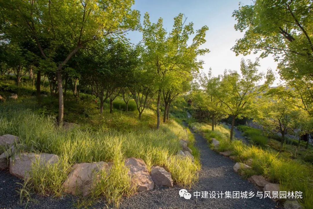 青岛浮山总体景观规划及重要节点详细设计丨中国青岛-241