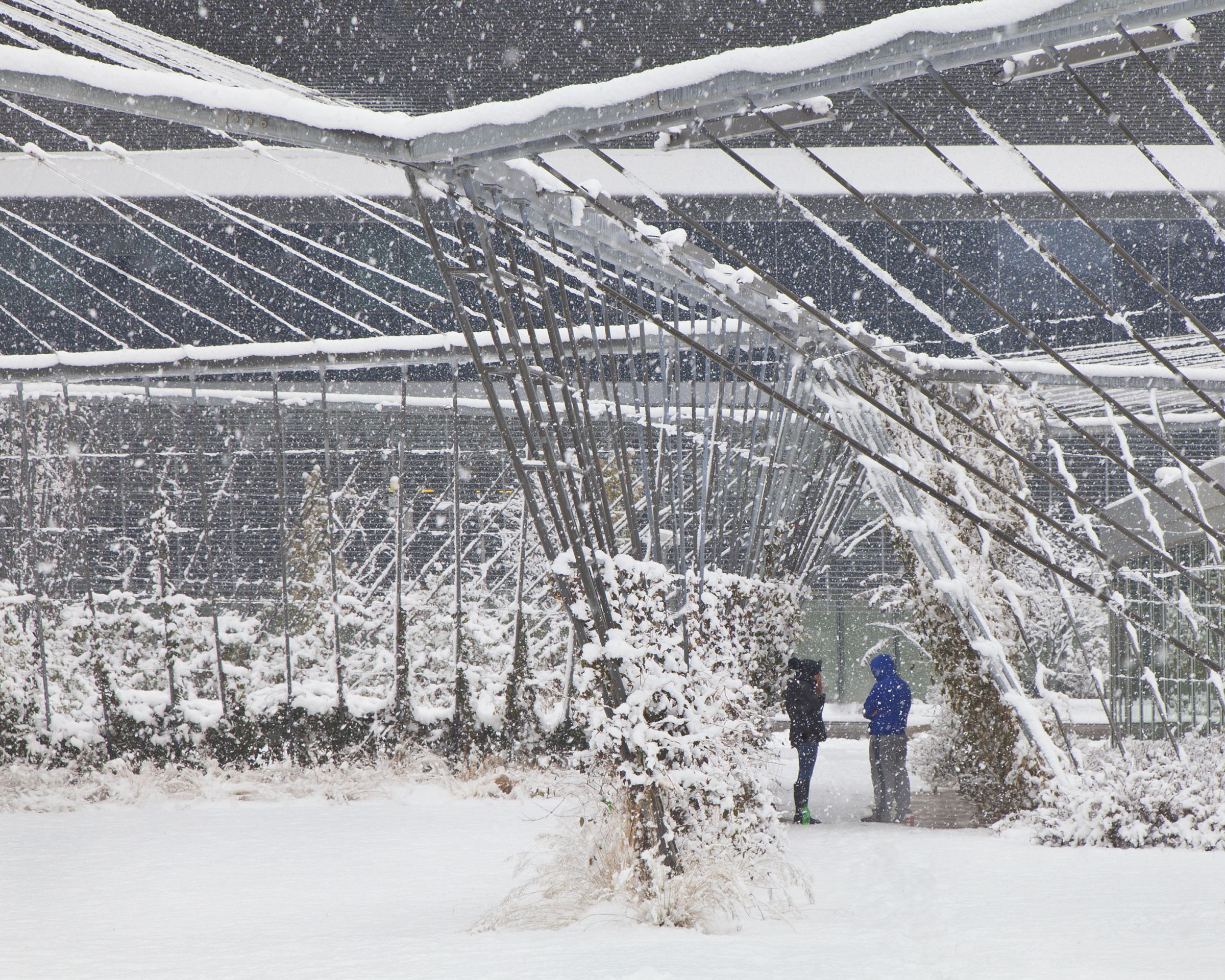 埃斯肯纳齐健康医院的共同基础和天空农场-20