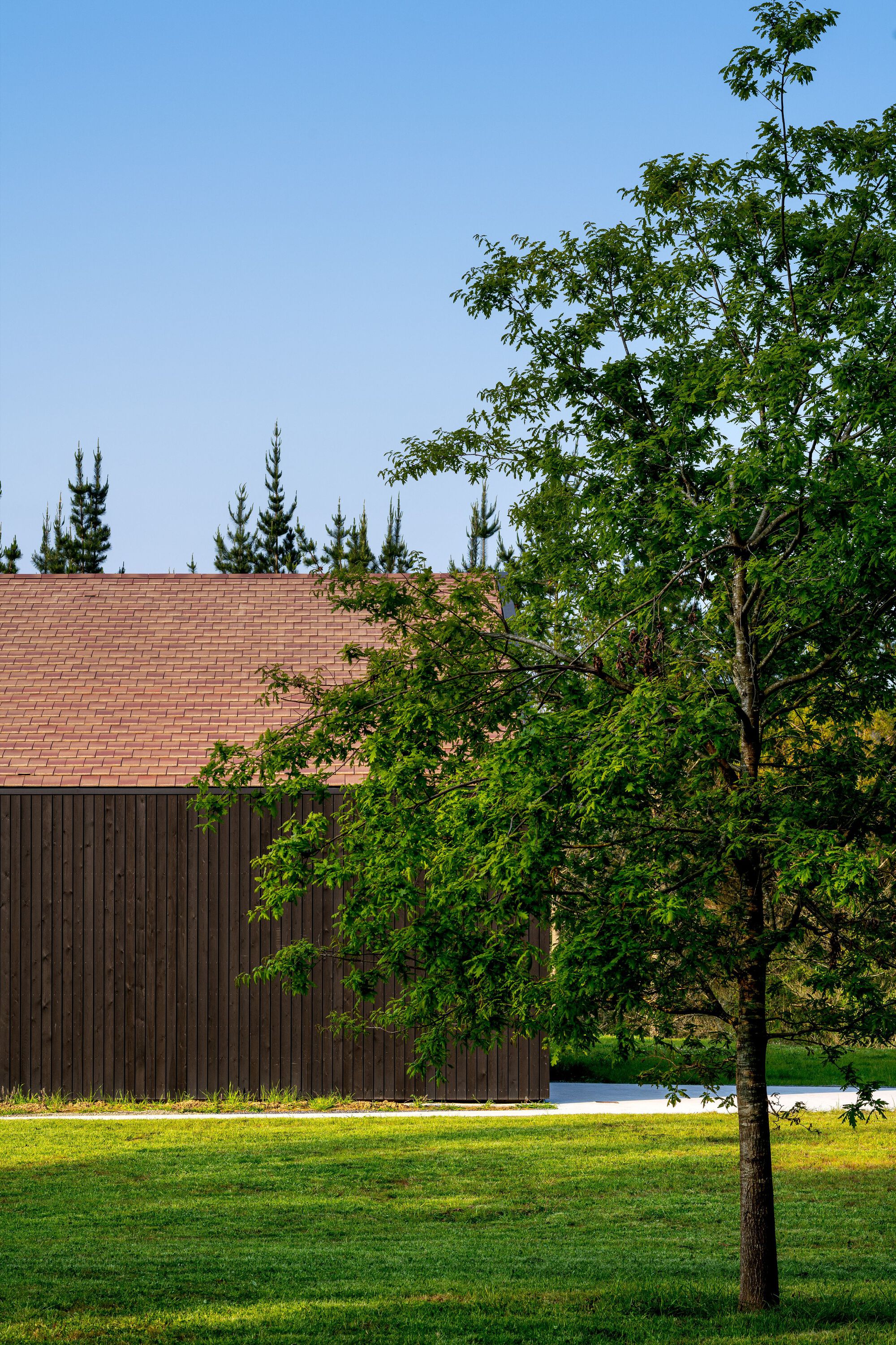 阿兹卡拉加小村庄丨西班牙丨BABELstudio,Bonadona Arquitectura-52