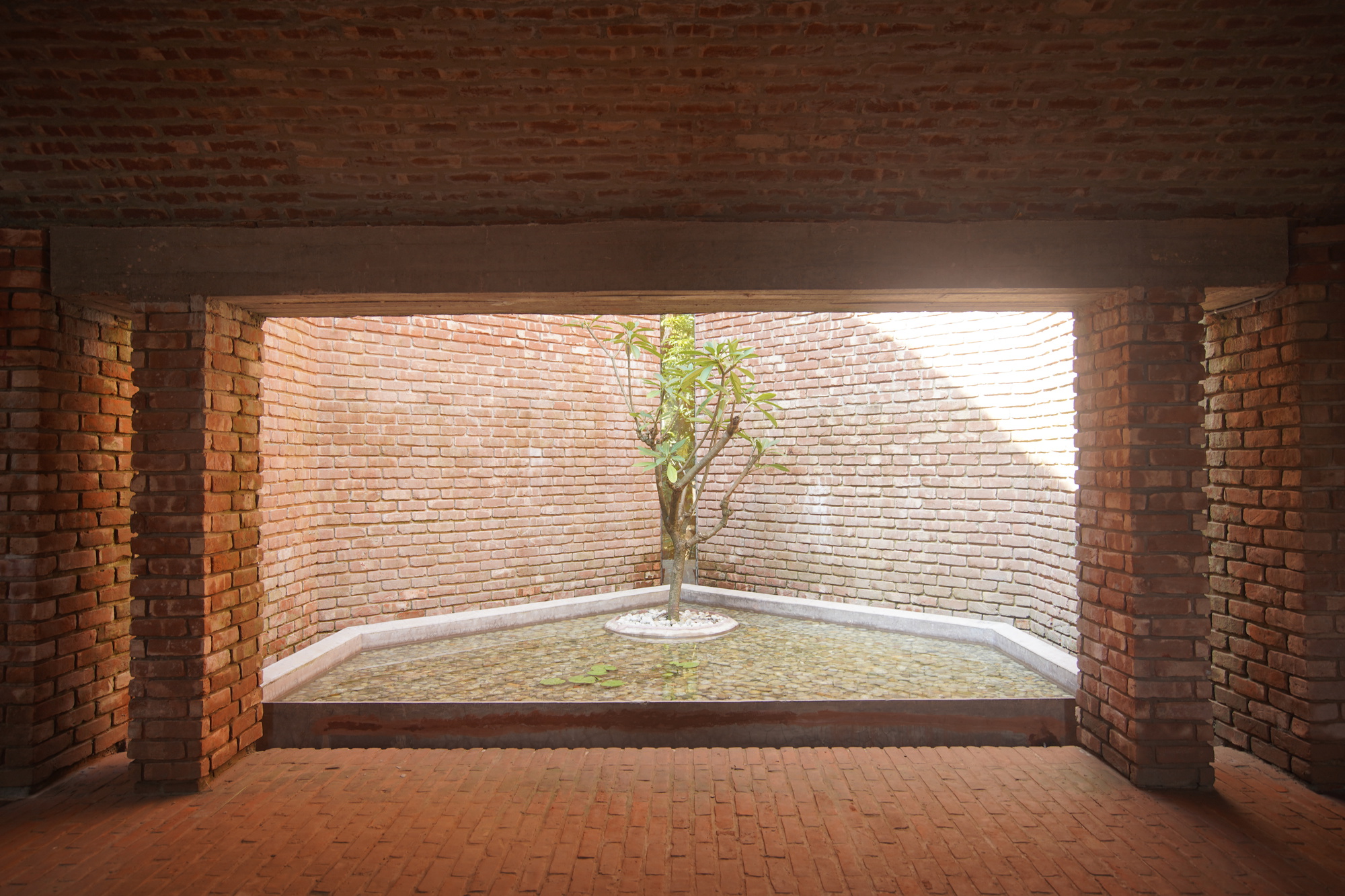 丨孟加拉国丨Archeground Ltd.-15