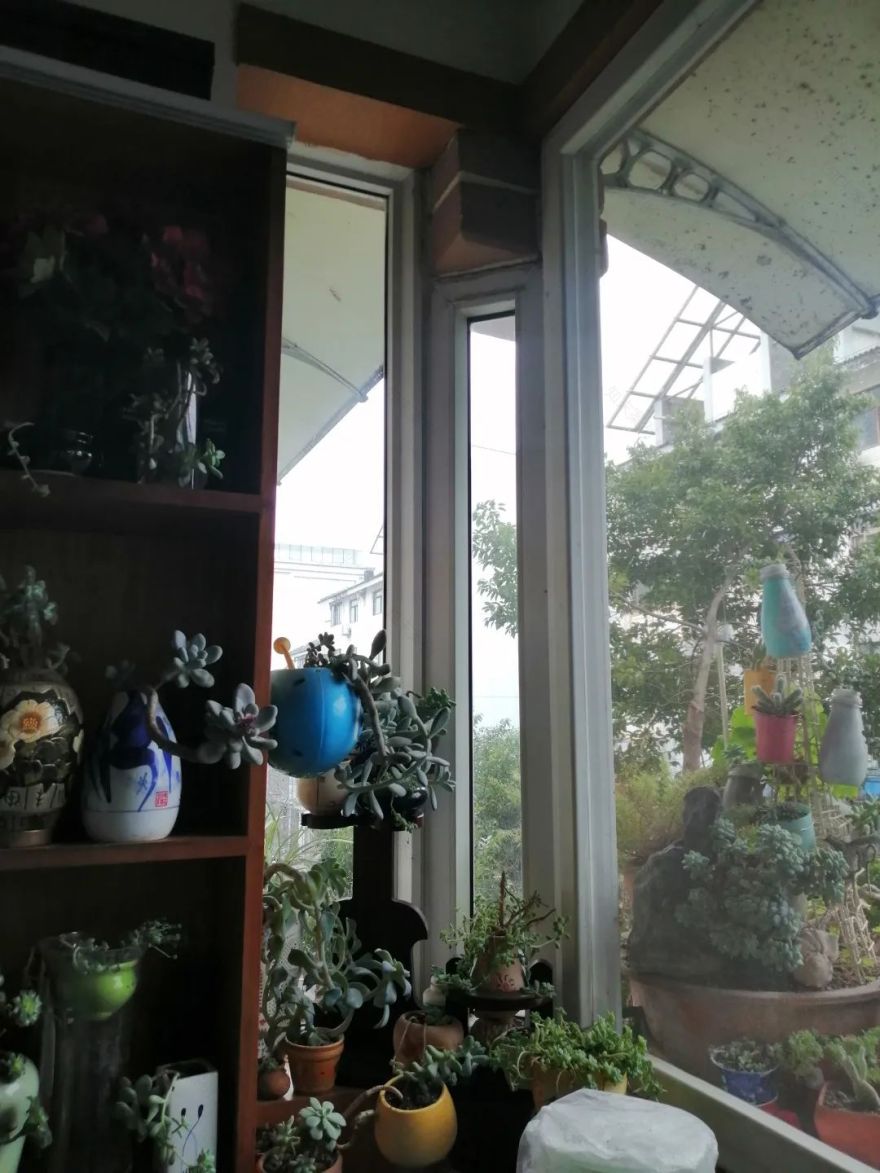 都江堰金婚之家丨中国成都丨清羽设计-63