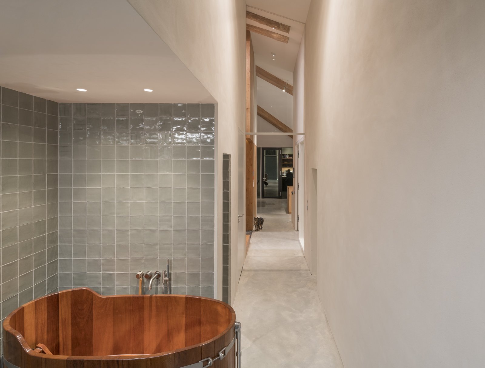 扭曲的北荷兰农舍 Stolp-16