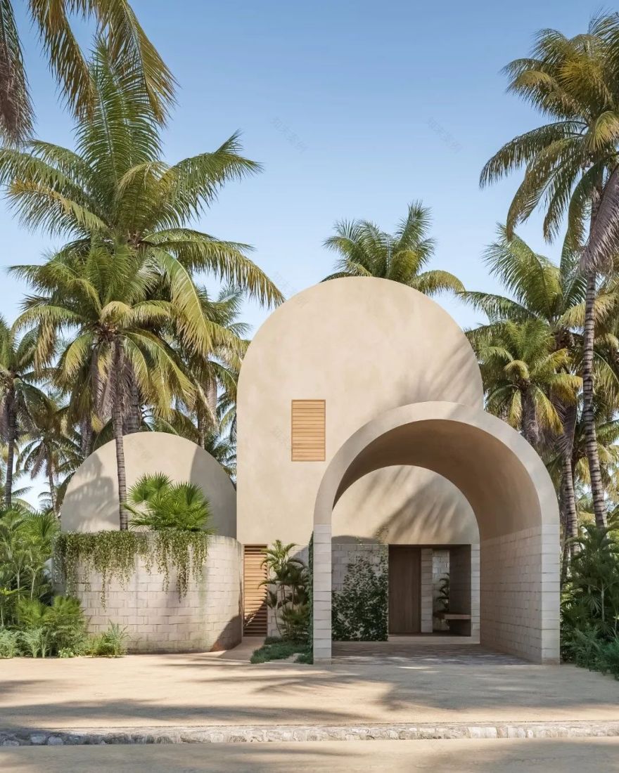 墨西哥海边亲生物住宅 · Casa Los Tigres House-54