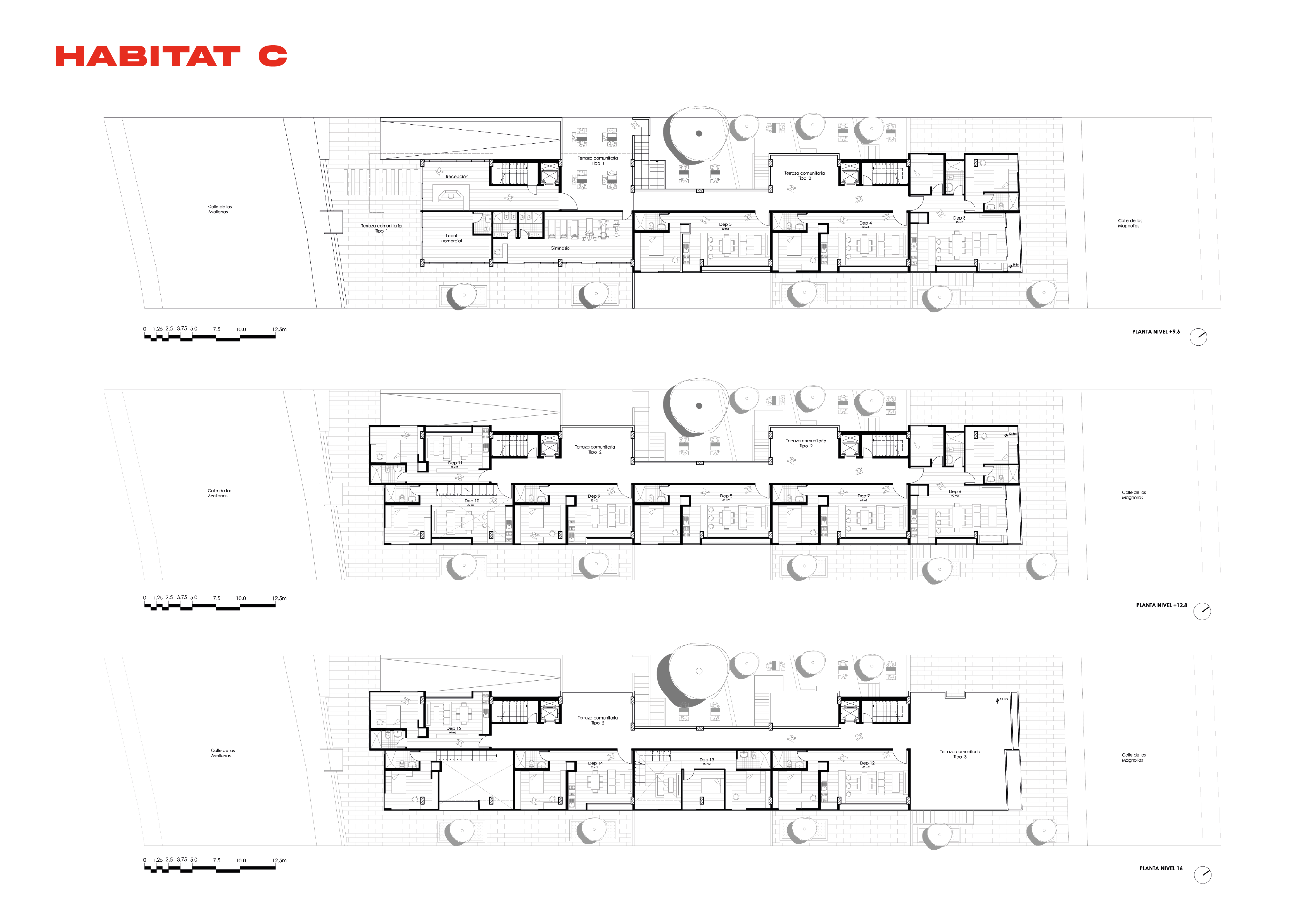 PORTFOLIO DAVID CHEME GARCIA-21