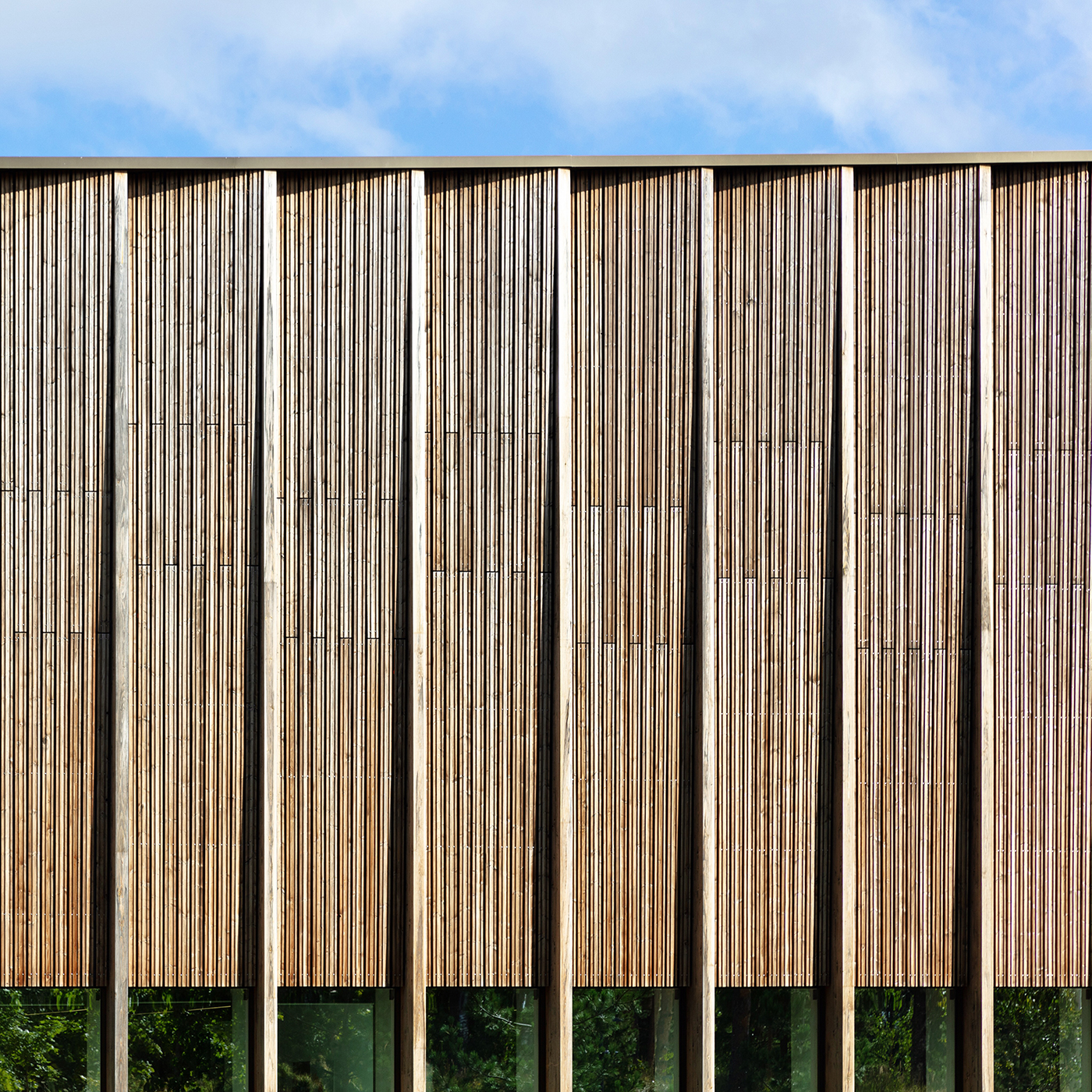 芬兰之光丨芬兰丨Sebastian Weiss-6