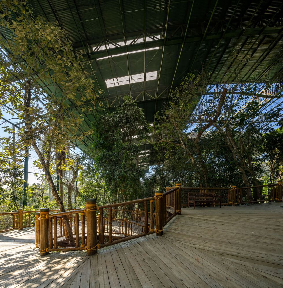 沉浸式动物园设计丨巴西圣保罗丨Alessandro Malara-24