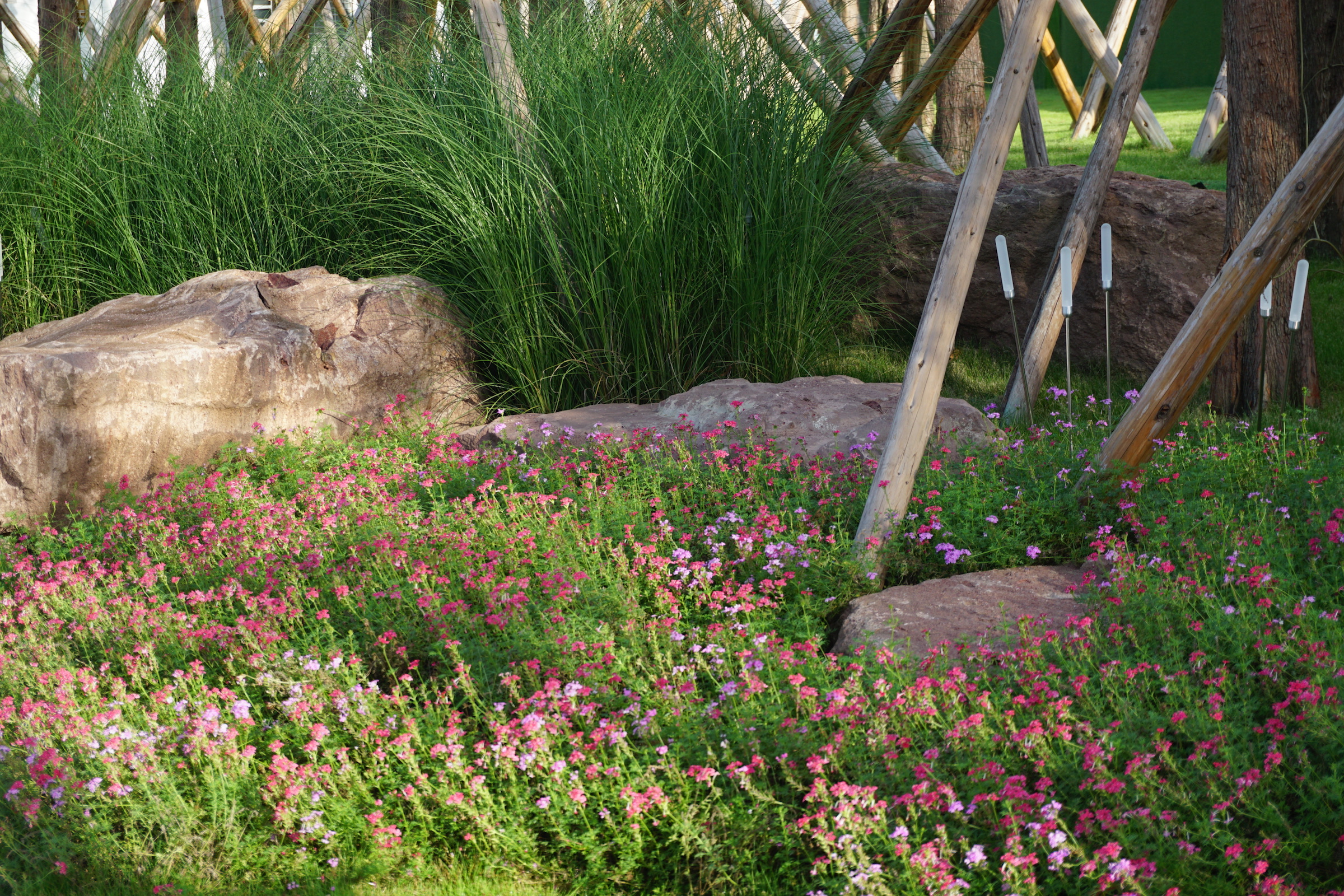 德商·麓湖熙华天玺,广亩景观-62