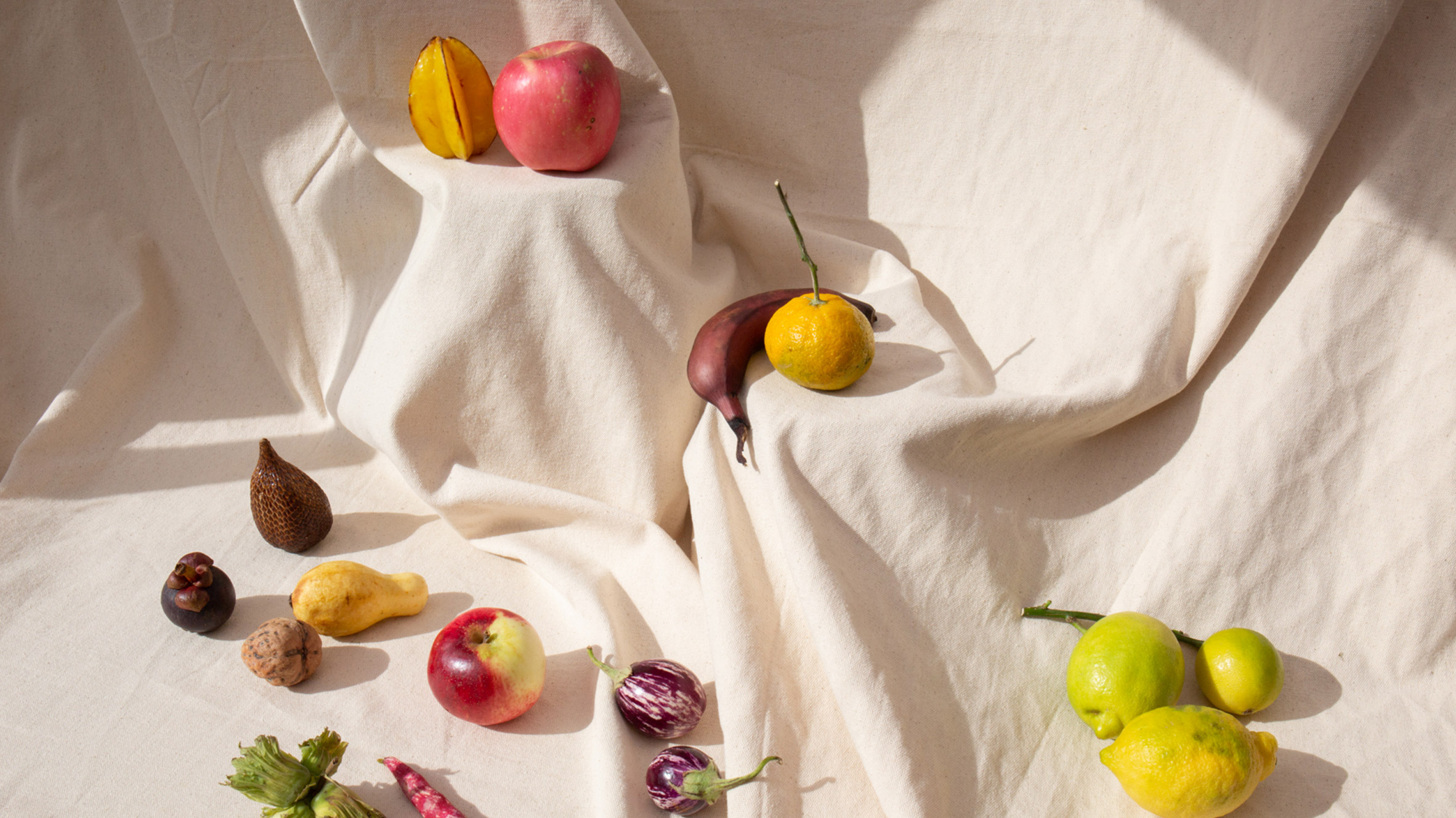 "木制奇迹" | 荷兰设计师打造高科技木质自行车-9