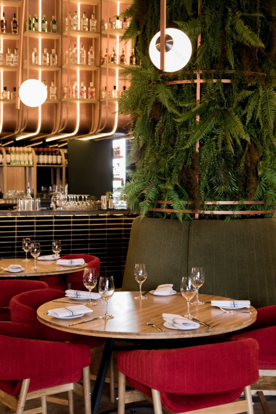 Cocina Abierta 餐厅-14