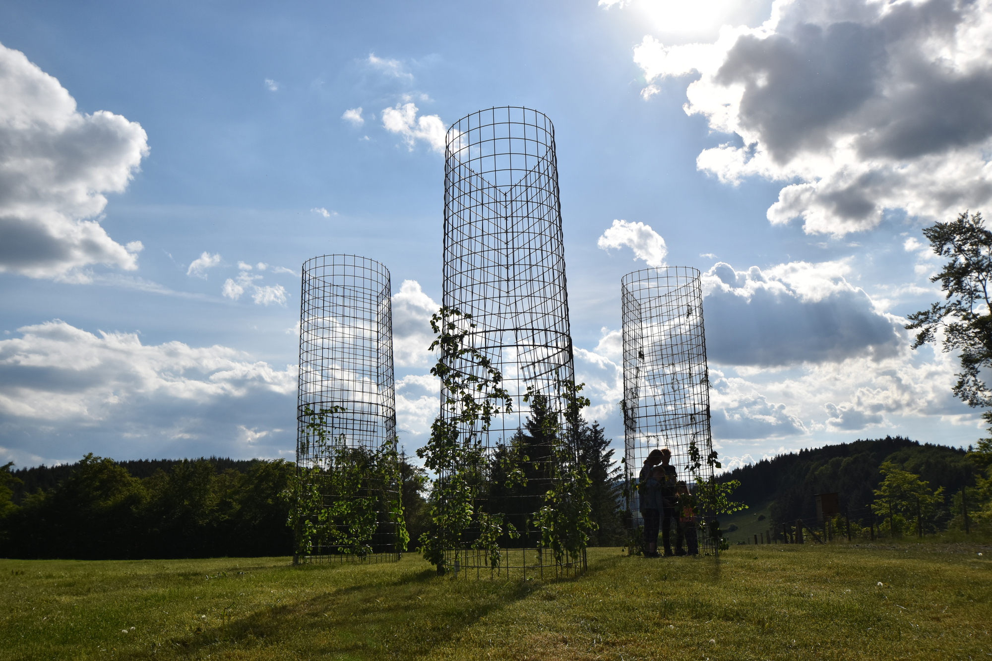 Himmelstropfen Pavilion / Christoph Hesse Architects-11