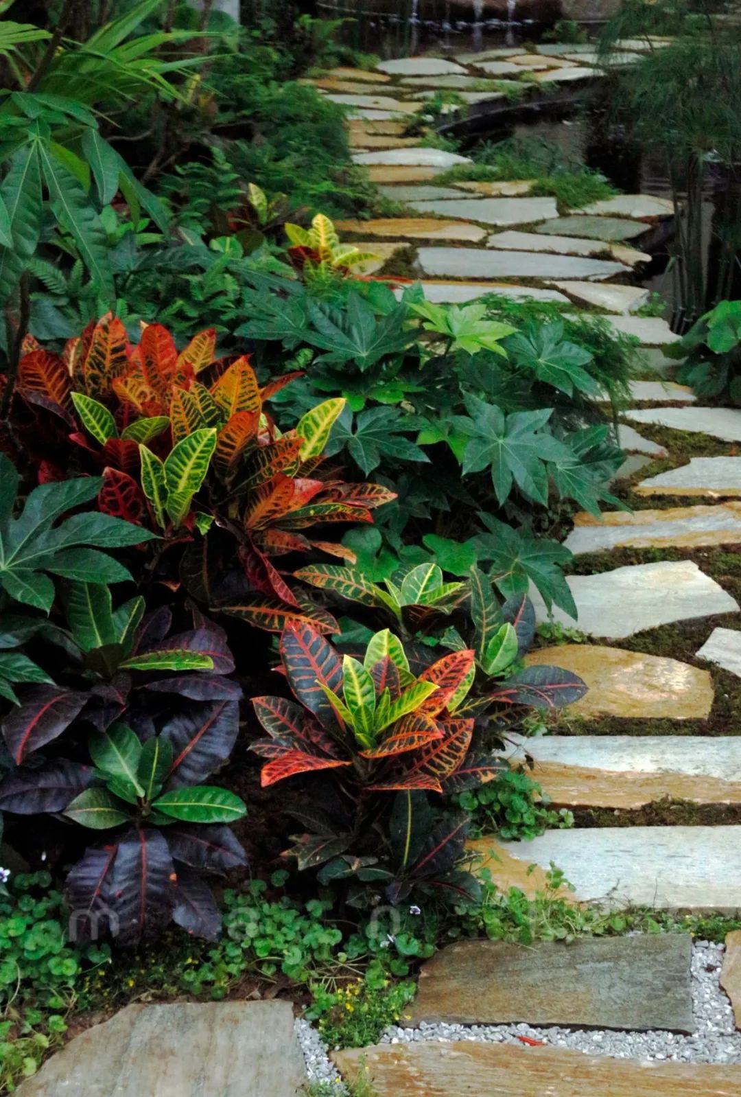 仲夏夜之梦 · 莎士比亚灵感的花园设计丨中国深圳丨Sarah Eberle(英国)-39