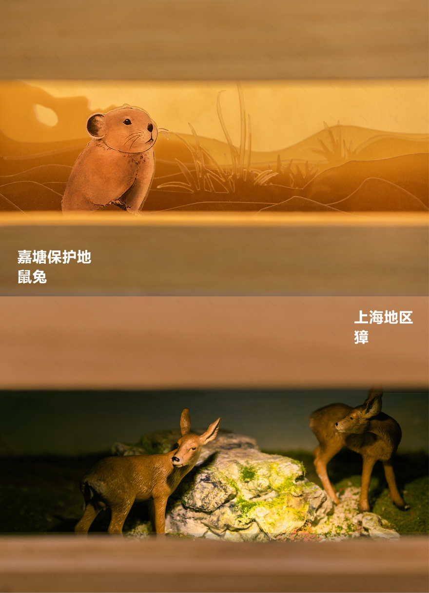 移动的森林博物馆丨中国上海丨蚂蚁森林 x 不是美术馆-19