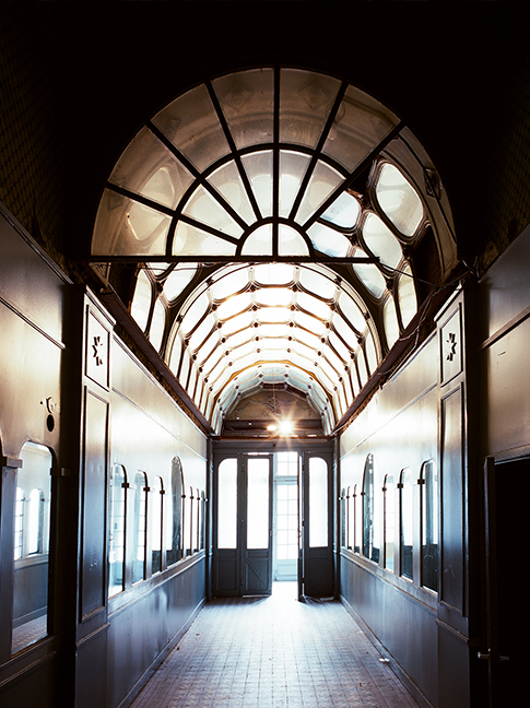 Aegidium 修复项目-13