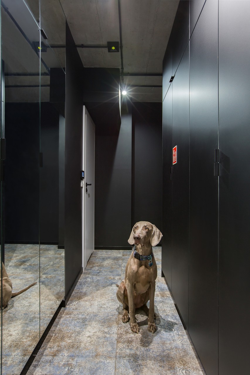 克拉科夫会计事务所办公室设计丨波兰克拉科夫丨Kreatywne 3工作室-17