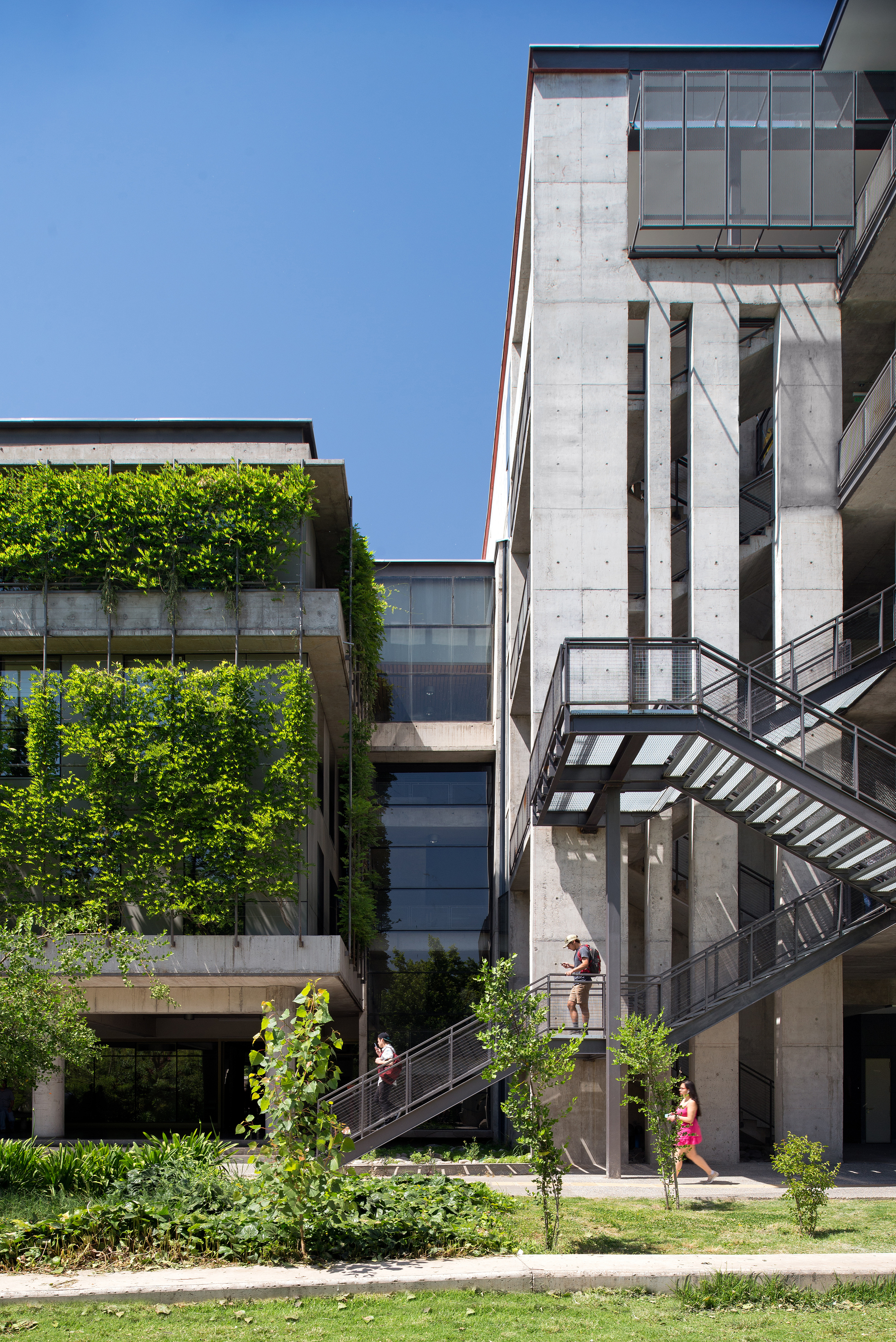 智利天主教大学教学楼-19