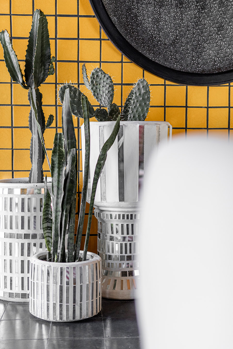 Casa Hoyos 精品酒店丨墨西哥丨AG studio-22