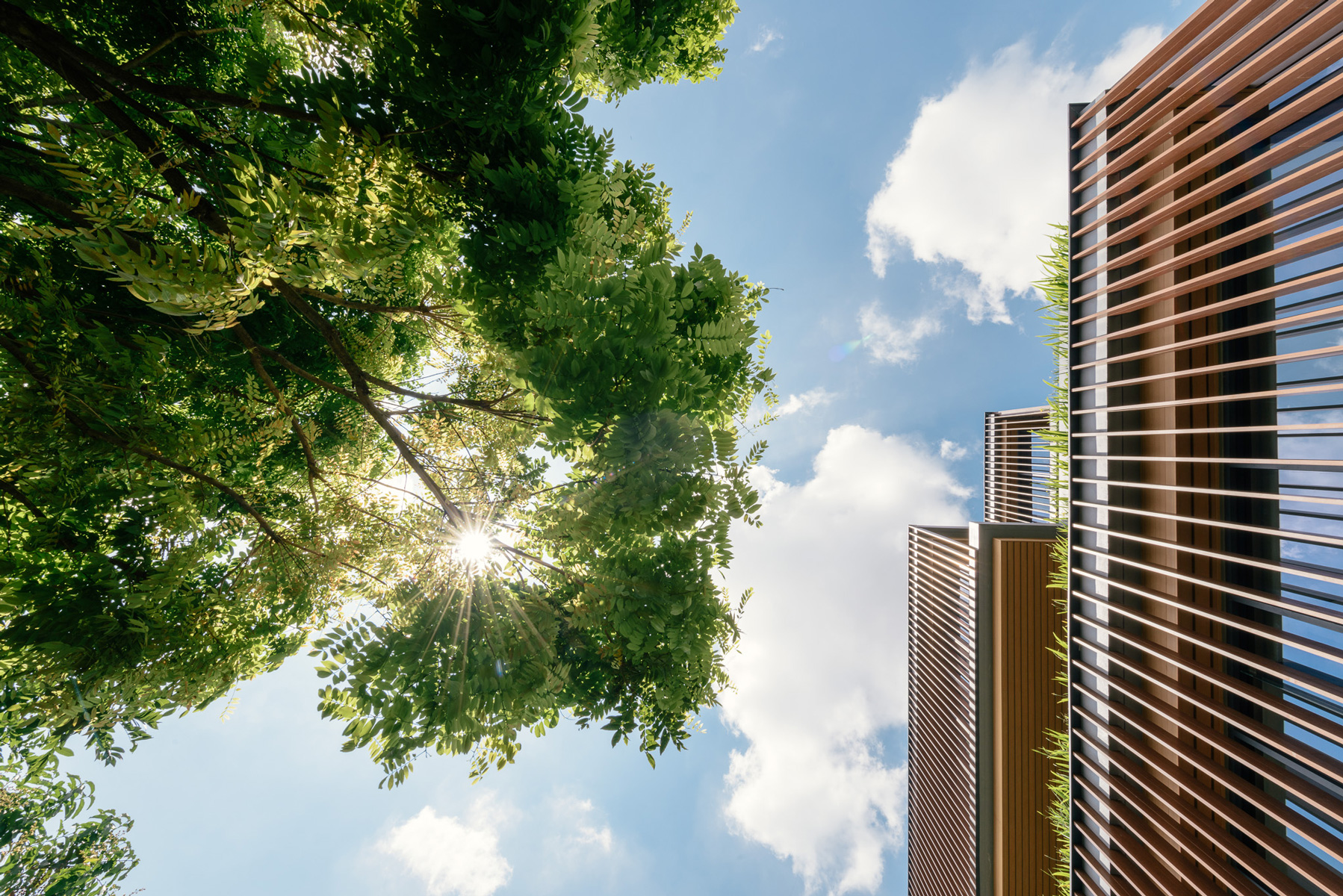 稻田梯田式办公空间设计-21