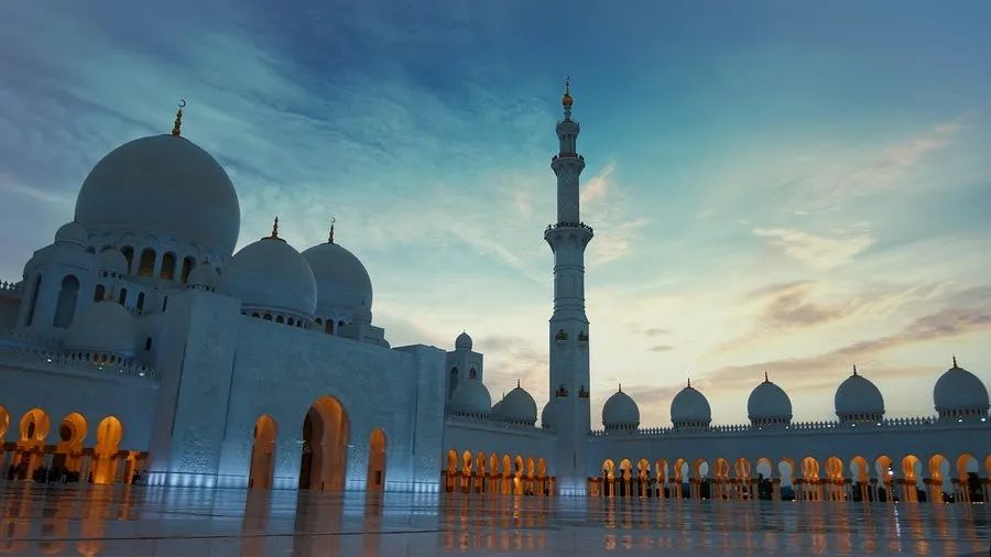 谢赫扎伊德清真寺 | 伊斯兰艺术与建筑的璀璨瑰宝-96