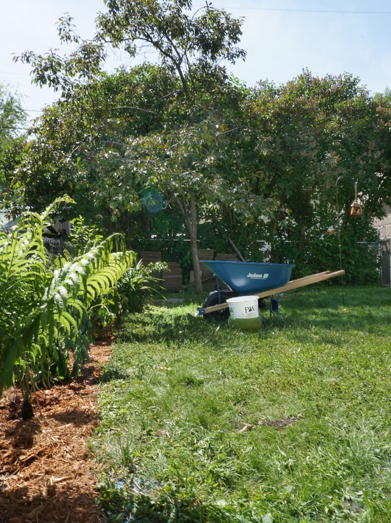 自家花园设计丨埃琳和肯-3