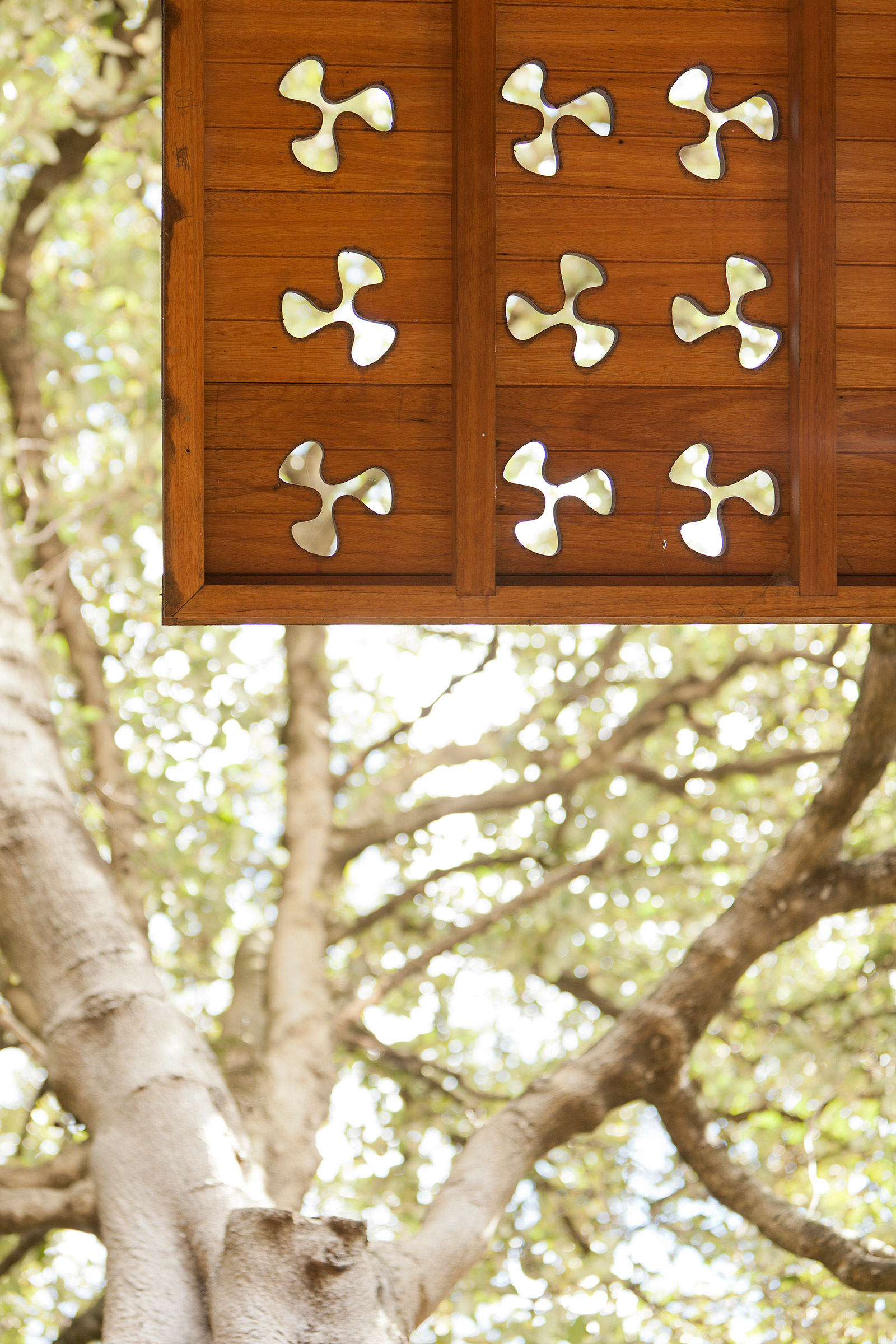 花卉力量 | 雷格·巴特利椭圆形看台翻新-13