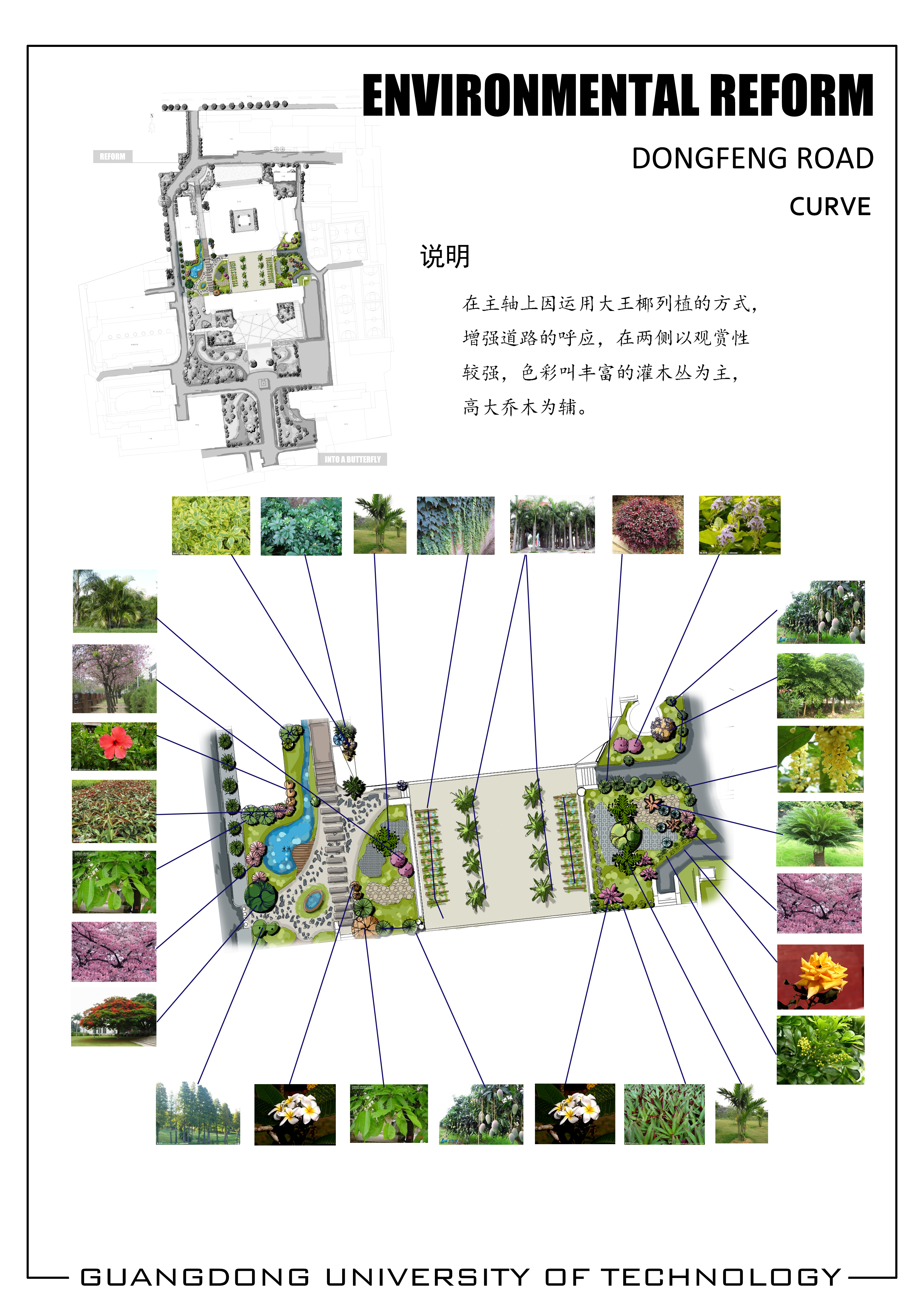 校园植物景观设计实例解析-24