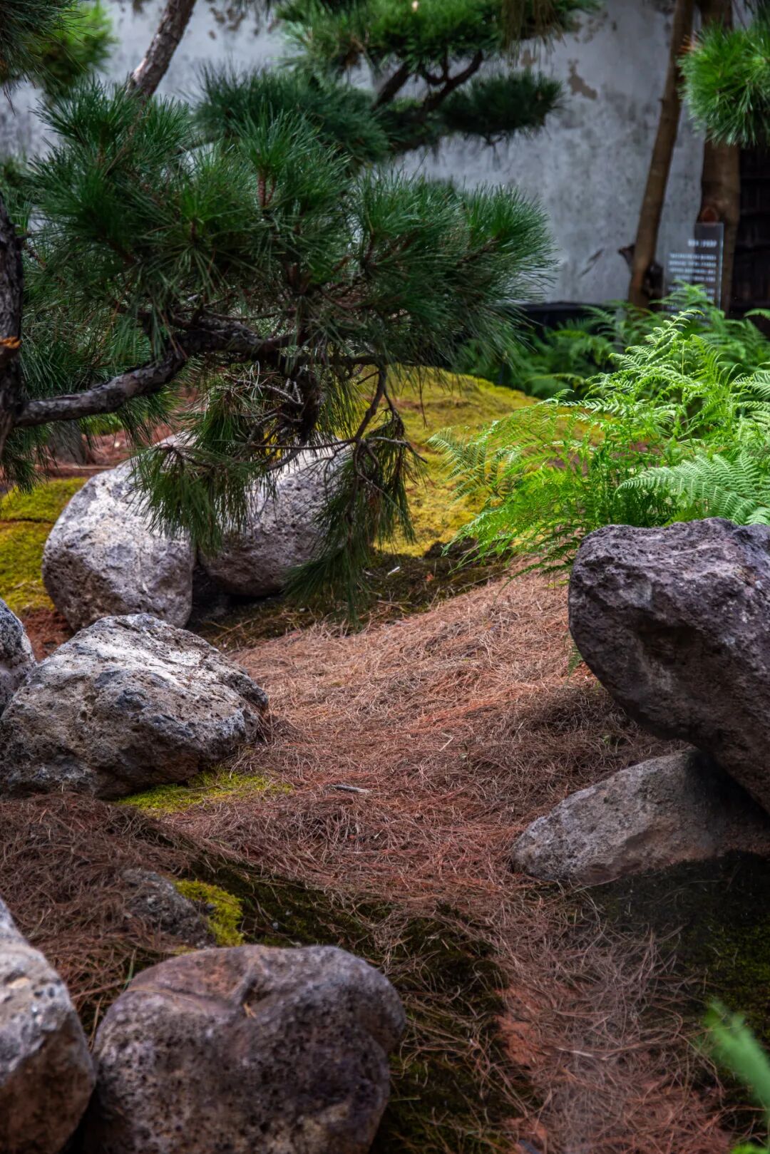 未竟园|当浦东百年历史民宅遇见京都苔寺，会生出怎样的新花园？-63