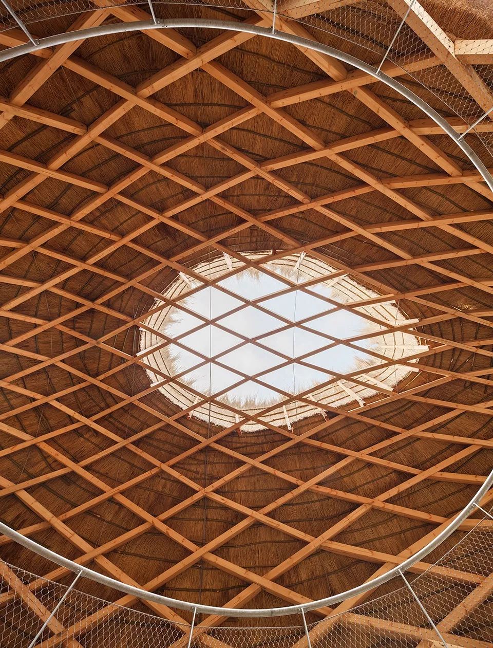 荷兰"鸟蛋"观鸟屋，生态与设计的完美结合-47