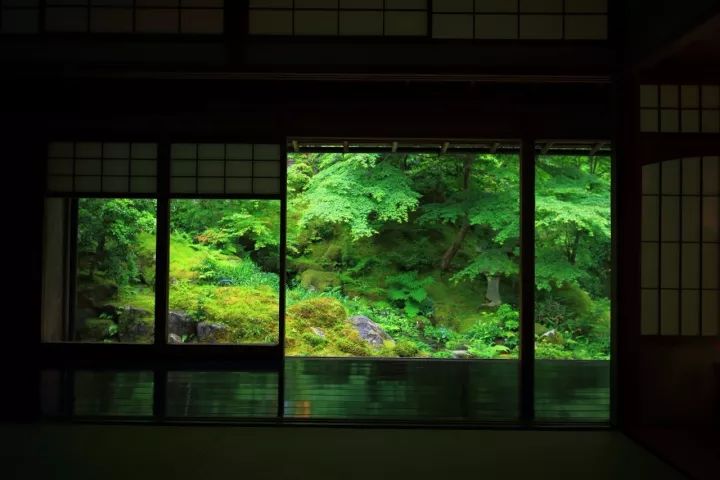 庭院满青苔，极美！-35