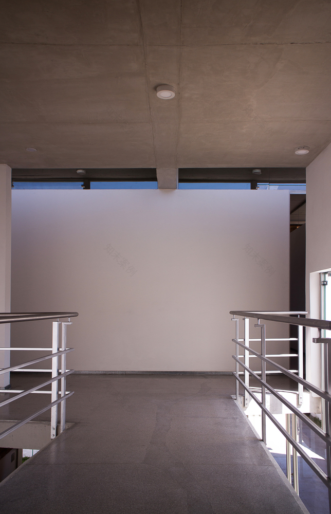 Memoir Medical Clinic Estudio ELGUE-43