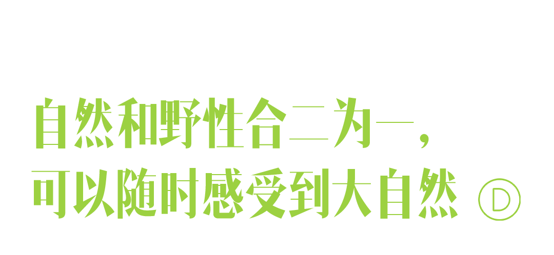 温州城中320㎡野性十足的家丨中国温州丨苏艺里-28
