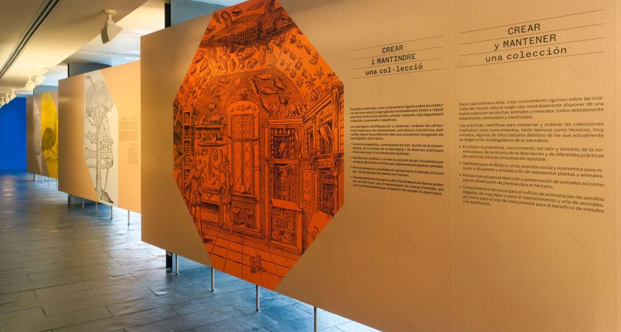 SALVADORIANA科学藏品展丨西班牙巴塞罗那丨emiliana design studio-4