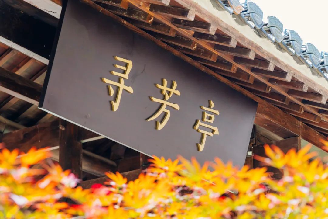 上饶悦麓开元观堂 | 古徽州文化与现代度假的完美融合-91