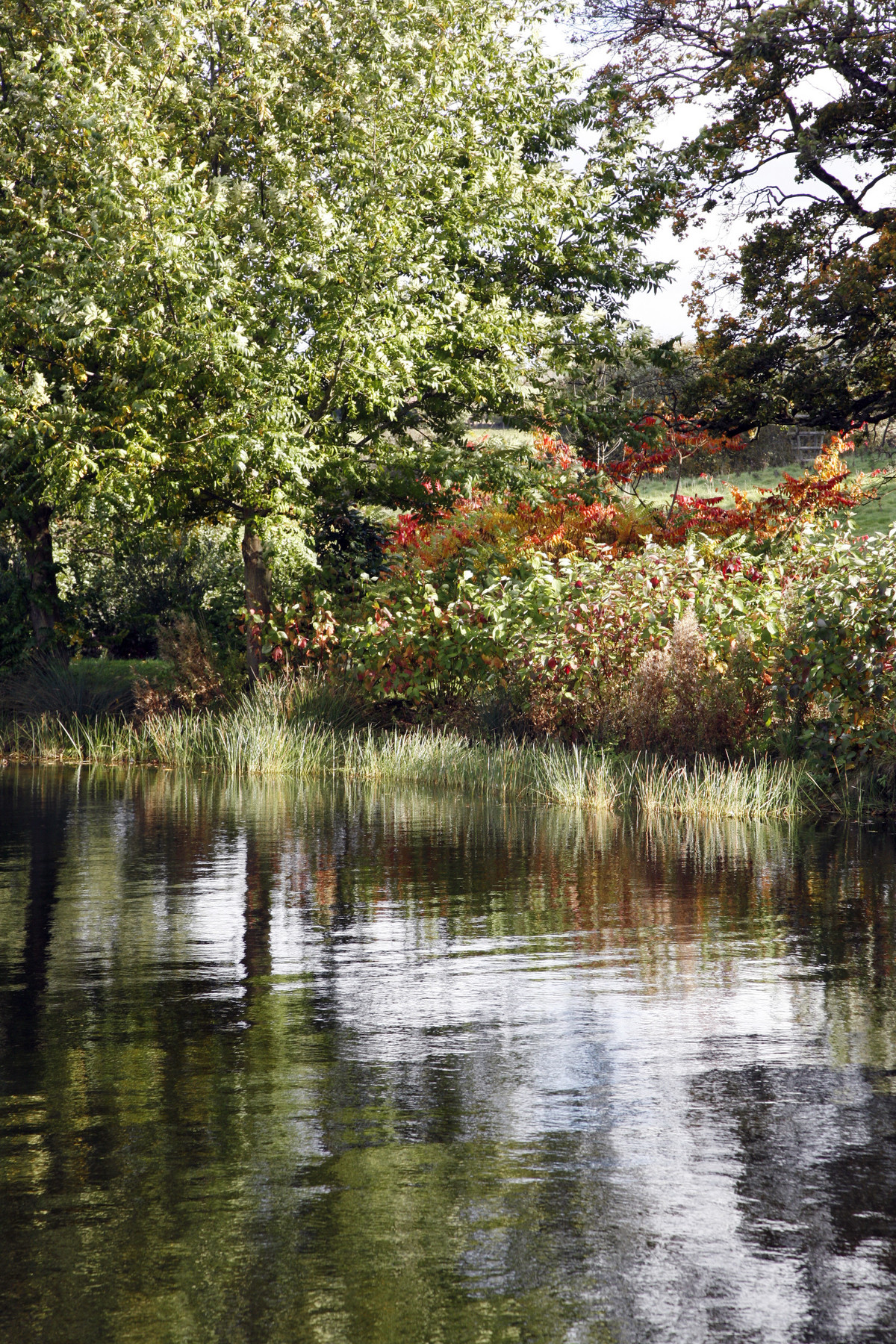 Brockhampton Cottages-6