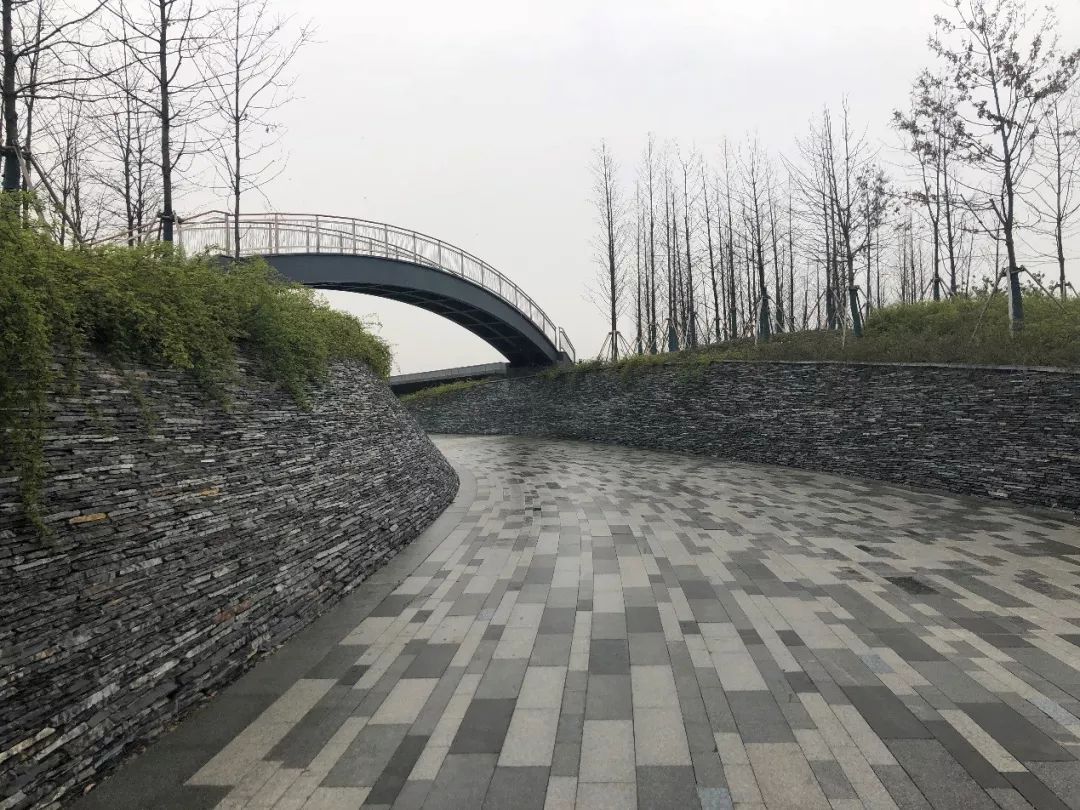 桃浦中央绿地 | 开放式绿地设计的典范-13