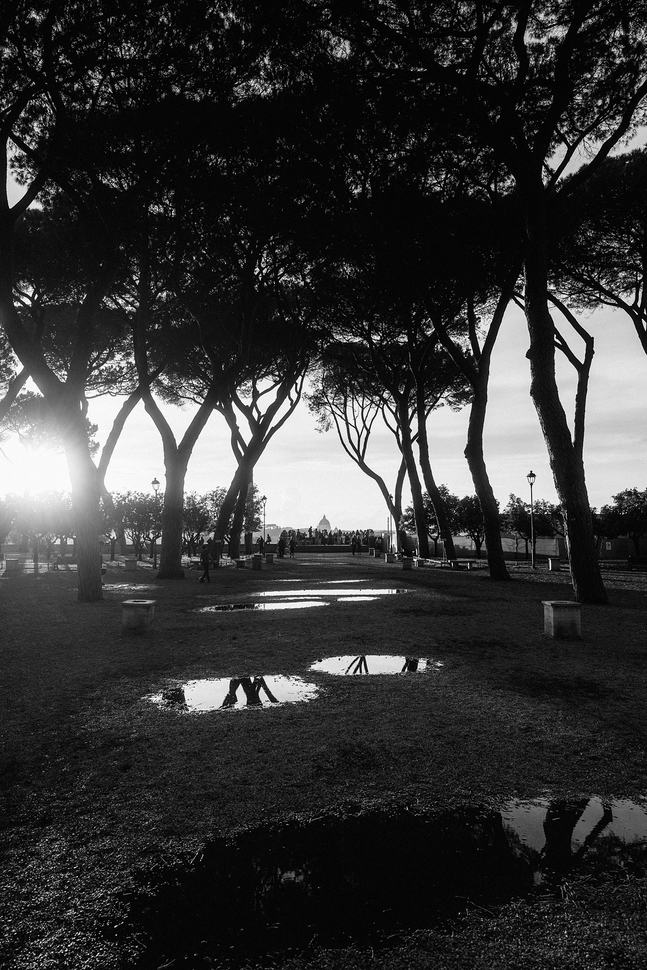 未命名丨Alexander Rentsch-117