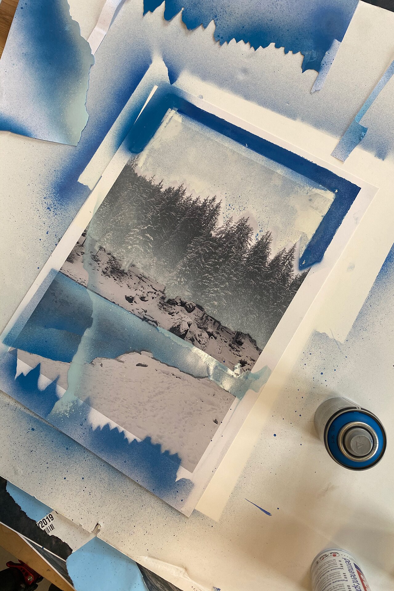 Bidding on these haunting photographs of Switzerland can help save the planet-3