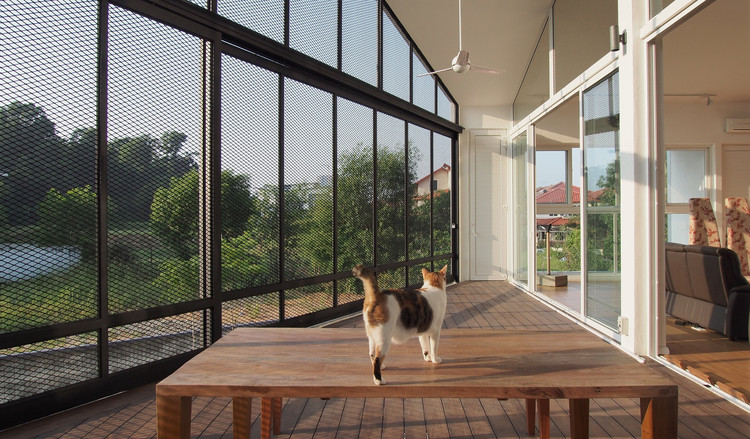 38Mews House  Design Collective Architects-12