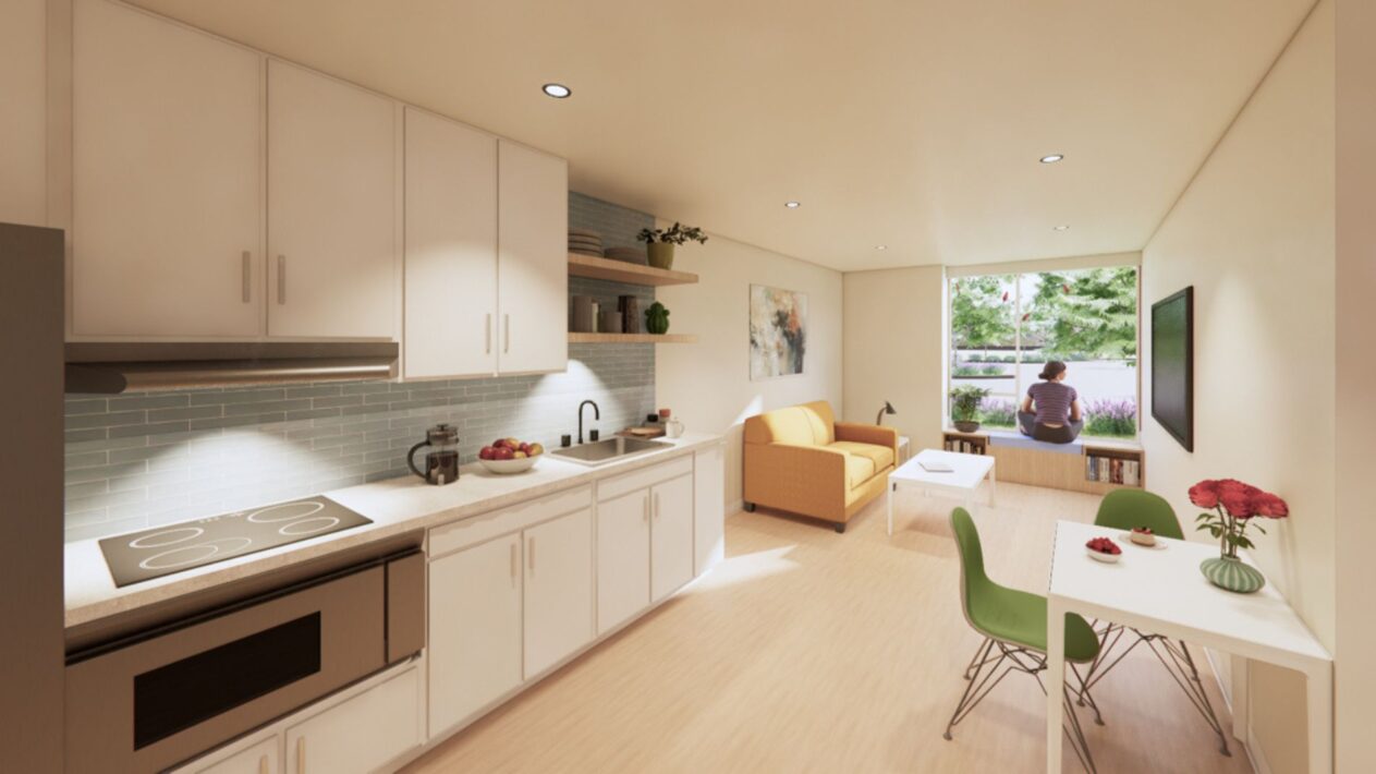 San Bernardino County DAAS Pacific Village Platinum Campus - Perkins Eastman-5