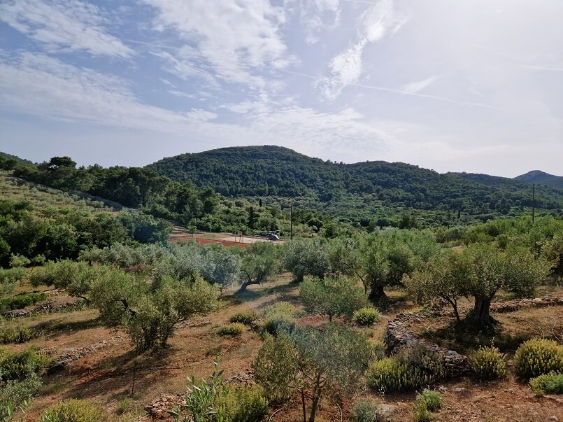 丨克罗地亚丨克罗地亚建筑师Nikola Bašić-36