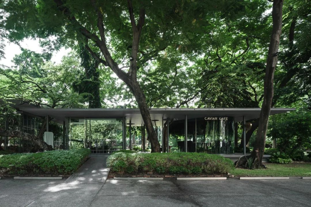 泰国鱼子酱咖啡馆(Caviar Cafe)-11